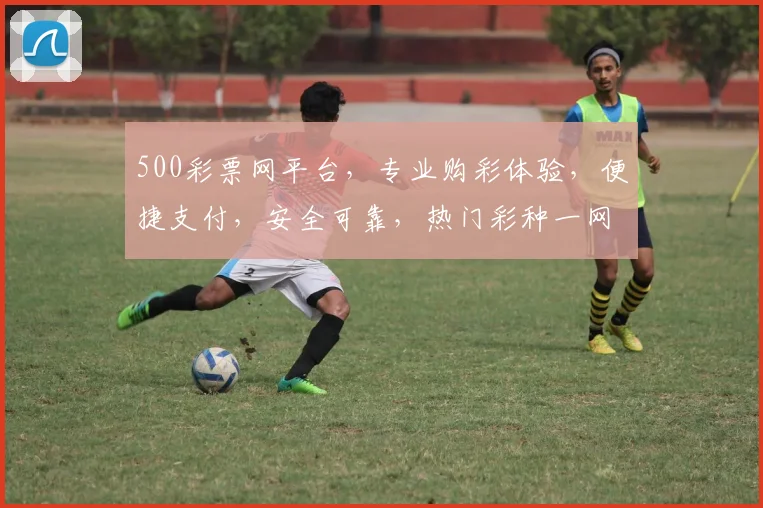 500彩票网平台，专业购彩体验，便捷支付，安全可靠，热门彩种一网打尽，助您轻松中奖