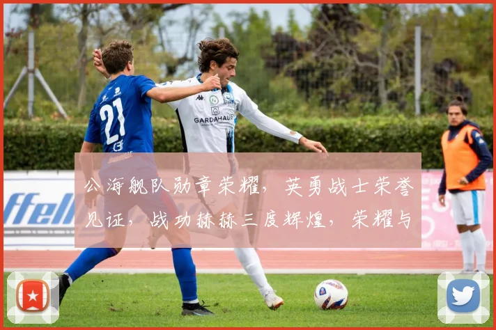 公海舰队勋章荣耀，英勇战士荣誉见证，战功赫赫三度辉煌，荣耀与共，军魂永铸