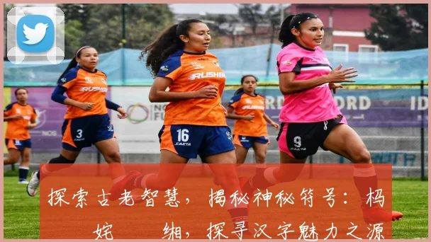 探索古老智慧，揭秘神秘符号：杩堝崥姹囬噾缃，探寻汉字魅力之源。