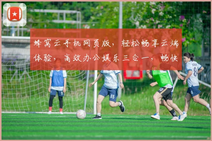 蜂窝云手机网页版，轻松畅享云端体验，高效办公娱乐三合一，畅快无阻