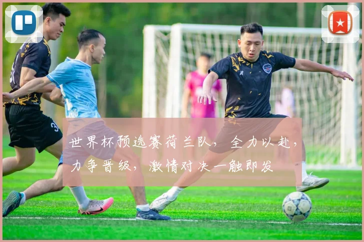 世界杯预选赛荷兰队，全力以赴，力争晋级，激情对决一触即发